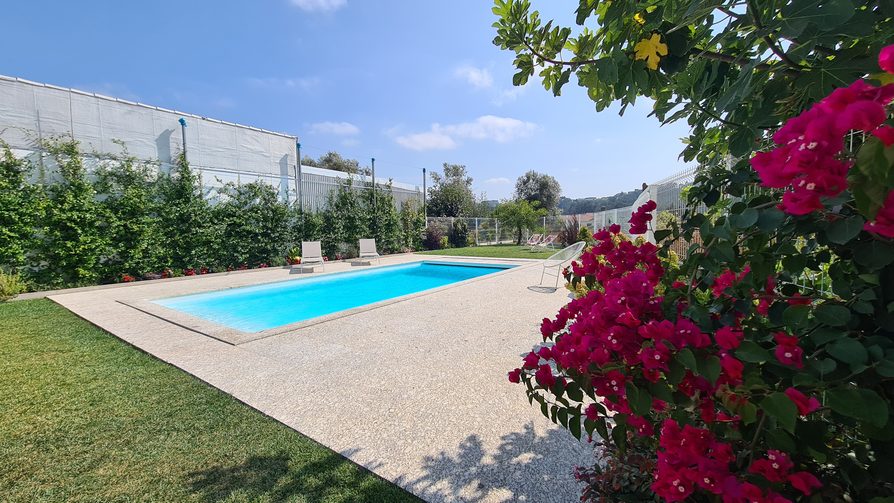 porto_gros-bougainvillier-bord-piscine_01